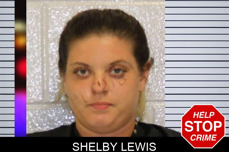 Shelby Lewis mugshot