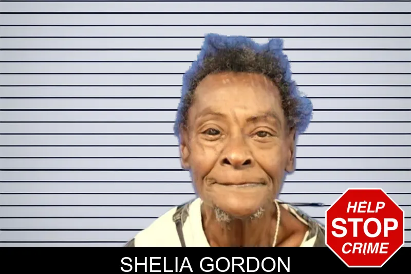 Shelia Gordon mugshot – Troup County , Georgia Shelia Gordon mugshot