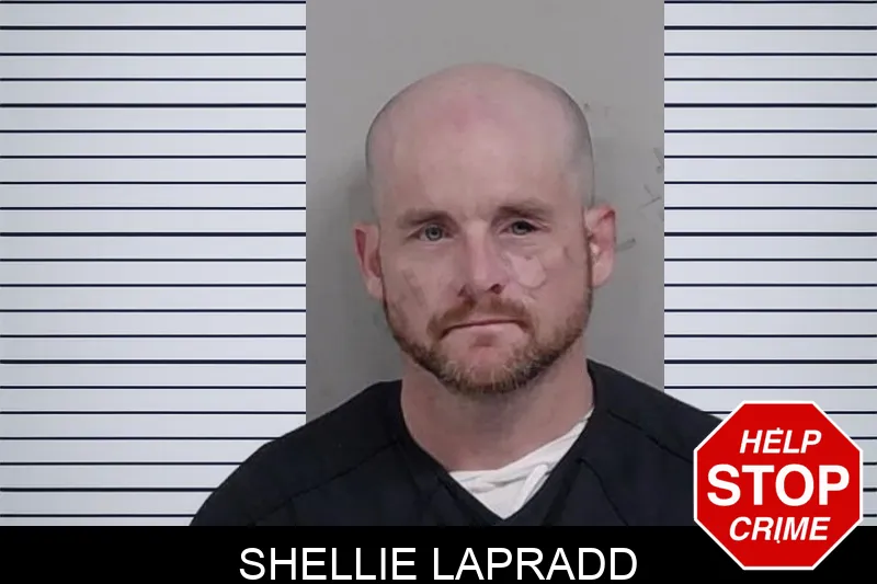 Shellie Lapradd mugshot – Lowndes County , Georgia Shellie Lapradd mugshot