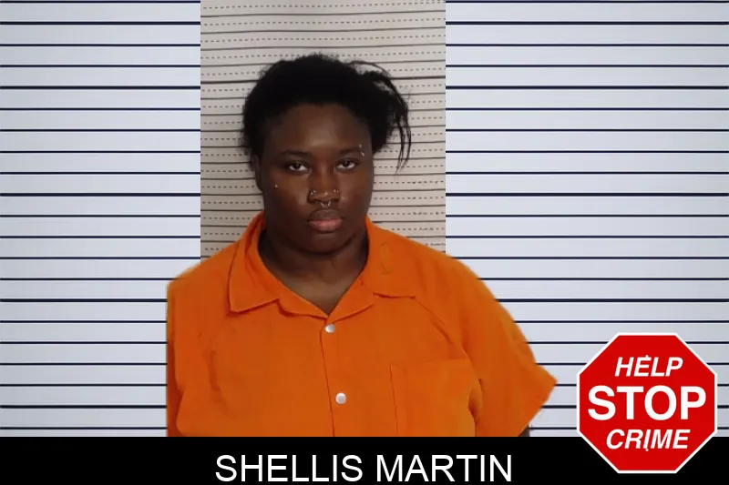Shellis Martin mugshot – Rockdale County , Georgia Shellis Martin mugshot