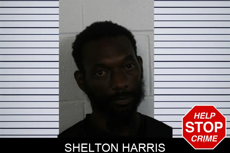 Shelton Harris mugshot