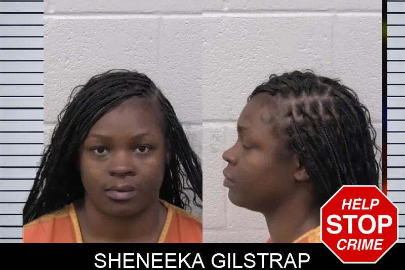 Sheneeka Gilstrap mugshot – Paulding County , Georgia Sheneeka Gilstrap mugshot