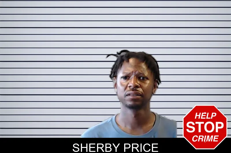 Sherby Price mugshot – DeKalb County , Georgia Sherby Price mugshot