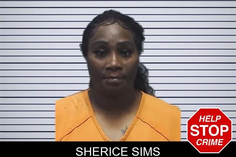 Sherice Sims mugshot – Cherokee County , Georgia Sherice Sims mugshot