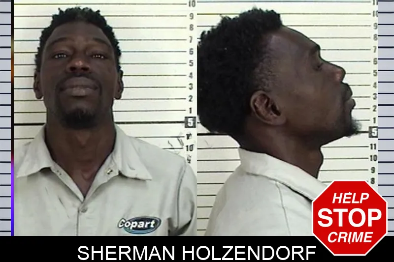 Sherman Holzendorf mugshot – Camden County , Georgia Sherman Holzendorf mugshot