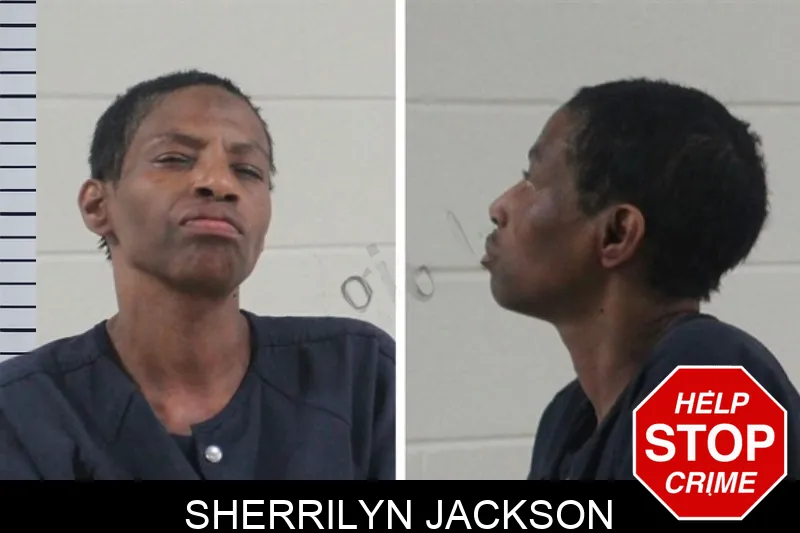 Sherrilyn Jackson mugshot – Houston County , Georgia Sherrilyn Jackson mugshot