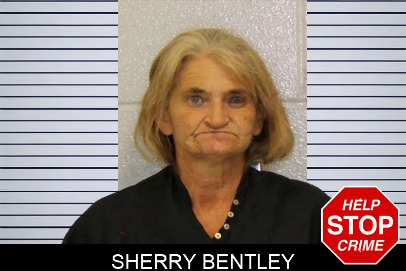 Sherry Bentley mugshot