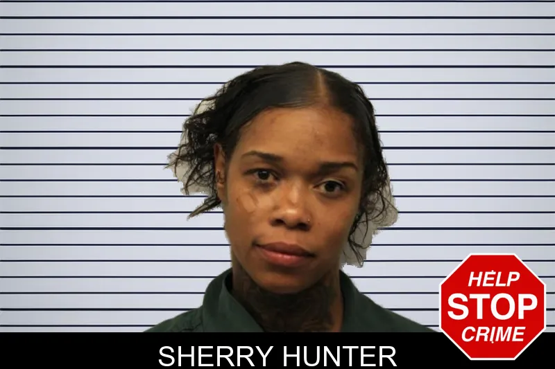 Sherry Hunter mugshot