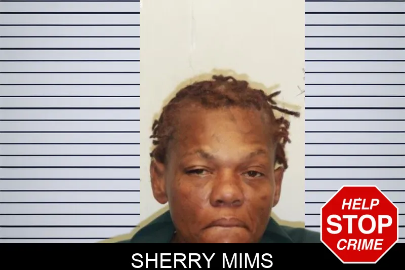 Sherry Mims mugshot – Chatham County , Georgia Sherry Mims mugshot