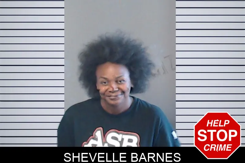 Shevelle Barnes mugshot – DeKalb County , Georgia Shevelle Barnes mugshot