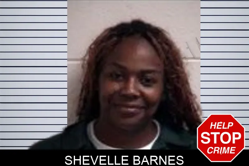 Shevelle Barnes mugshot – Henry County , Georgia Shevelle Barnes mugshot