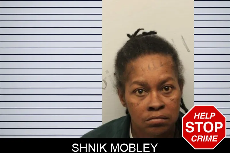 Shnik Mobley mugshot – Chatham County , Georgia Shnik Mobley mugshot