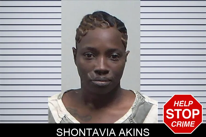 Shontavia Akins mugshot