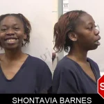 Shontavia Barnes mugshot