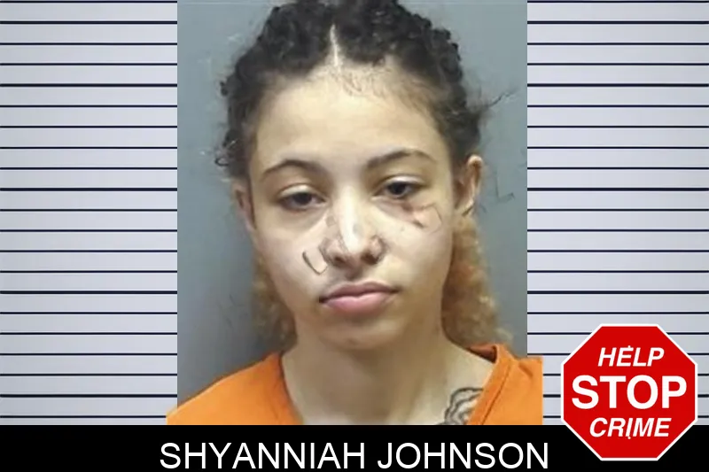 Shyanniah Johnson mugshot
