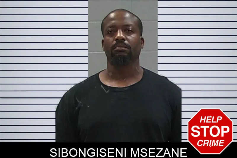 Sibongiseni Msezane mugshot – Baldwin County , Georgia Sibongiseni Msezane mugshot