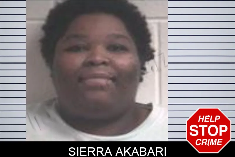 Sierra Akabari mugshot