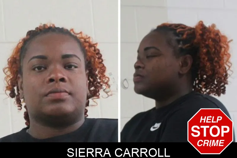 Sierra Carroll mugshot – Houston County , Georgia Sierra Carroll mugshot