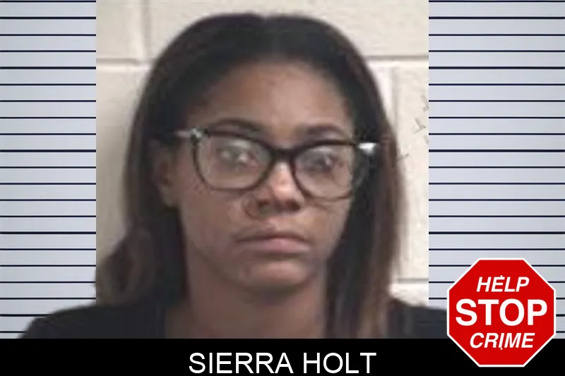 Sierra Holt mugshot – Henry County , Georgia Sierra Holt mugshot
