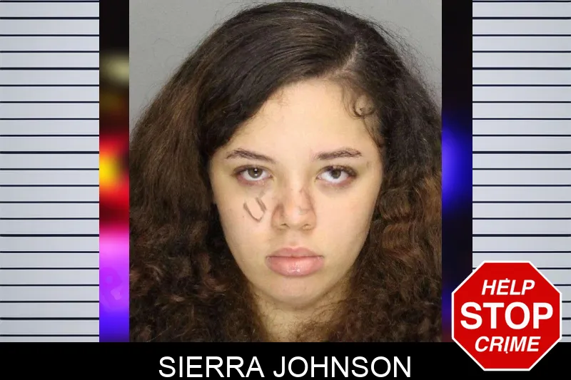 Sierra Johnson mugshot