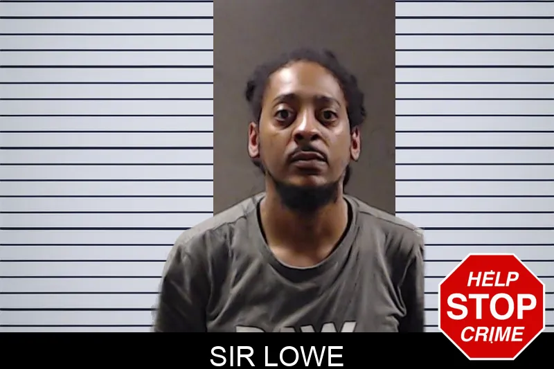 Sir Lowe mugshot