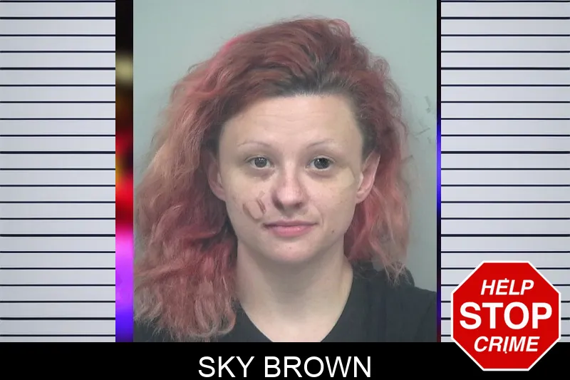Sky Brown mugshot – Gwinnett County , Georgia Sky Brown mugshot