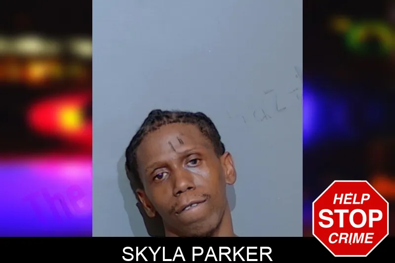 Skyla Parker mugshot – Glynn County , Georgia Skyla Parker mugshot