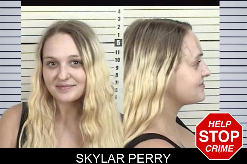 Skylar Perry mugshot – Camden County , Georgia Skylar Perry mugshot