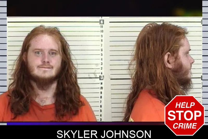 Skyler Johnson mugshot