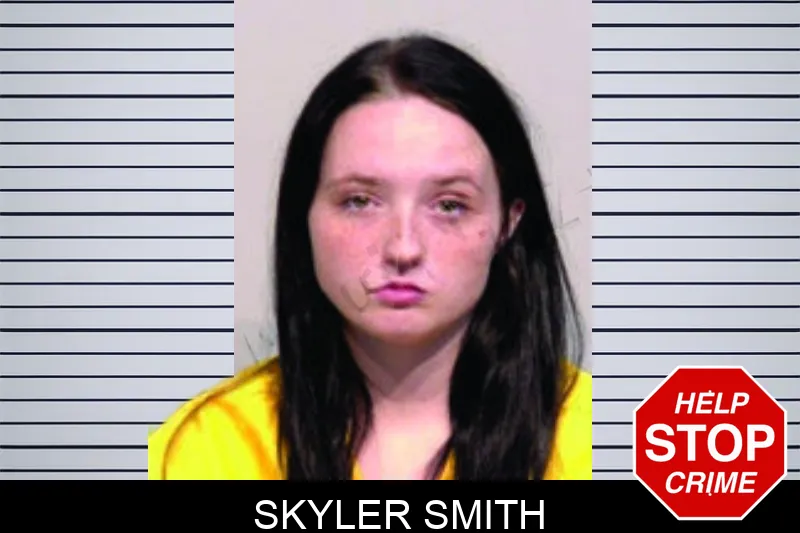 Skyler Smith mugshot – Bartow County , Georgia Skyler Smith mugshot
