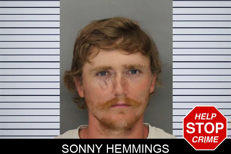 Sonny Hemmings mugshot