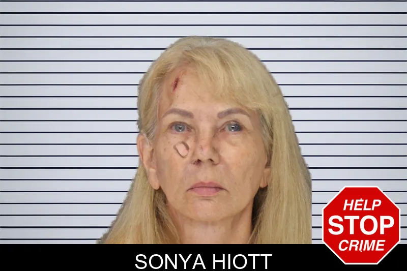 Sonya Hiott mugshot