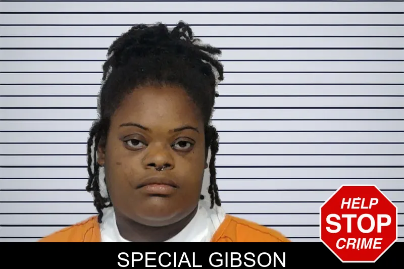 Special Gibson mugshot