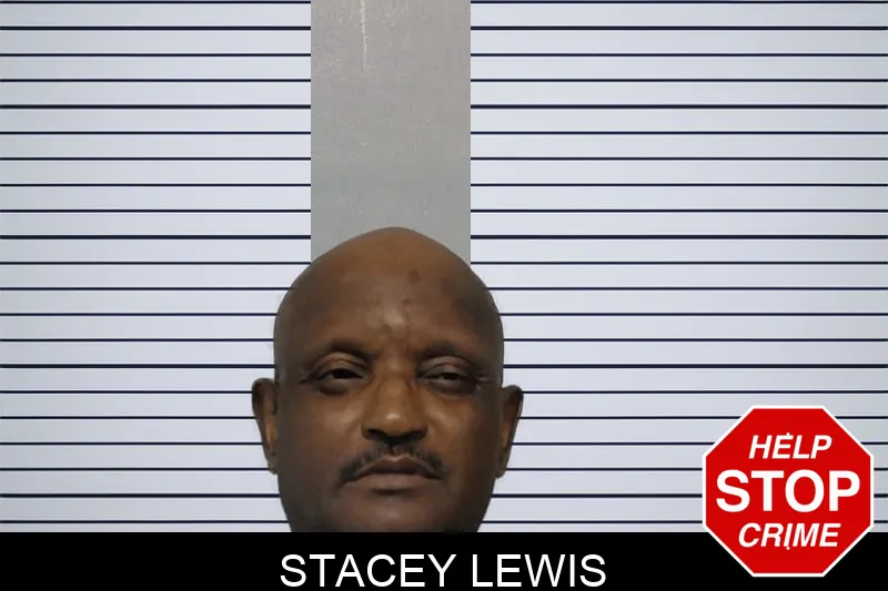 Stacey Lewis mugshot