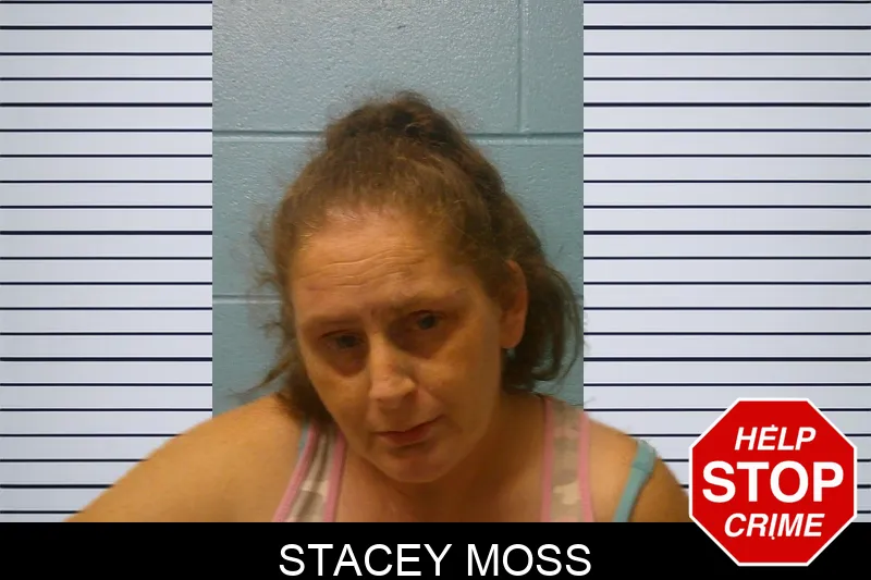 Stacey Moss mugshot – Franklin County , Georgia Stacey Moss mugshot