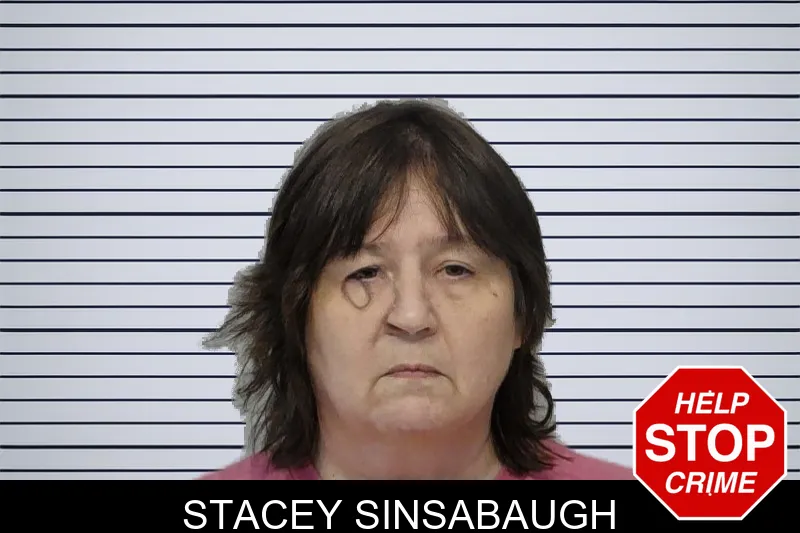 Stacey Sinsabaugh mugshot – Bibb County , Georgia Stacey Sinsabaugh mugshot