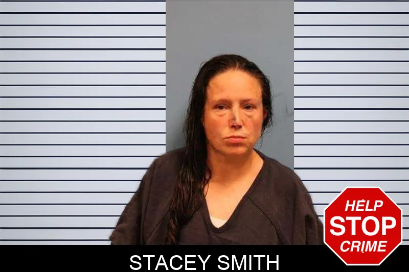 Stacey Smith mugshot – Monroe County , Georgia Stacey Smith mugshot