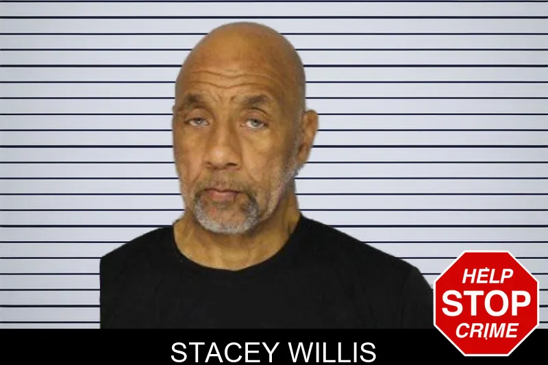 Stacey Willis mugshot