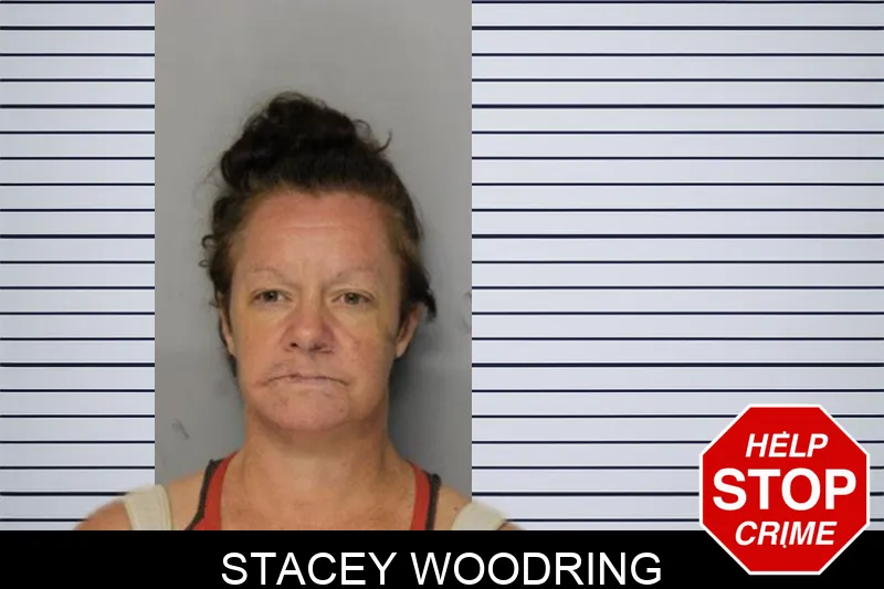 Stacey Woodring mugshot – Hall County , Georgia Stacey Woodring mugshot