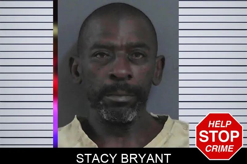 Stacy Bryant mugshot