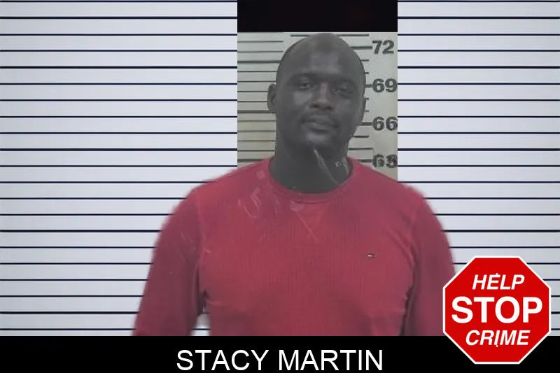 Stacy Martin mugshot – Coffee County , Georgia Stacy Martin mugshot