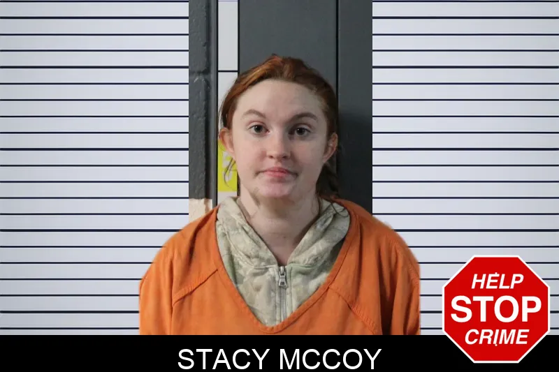 Stacy McCoy mugshot – Lumpkin County , Georgia Stacy McCoy mugshot