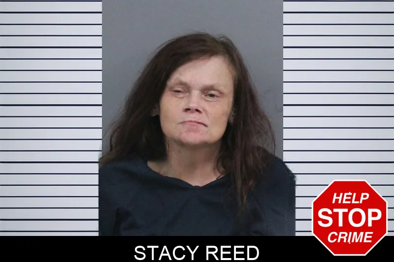 Stacy Reed mugshot – Catoosa County , Georgia Stacy Reed mugshot
