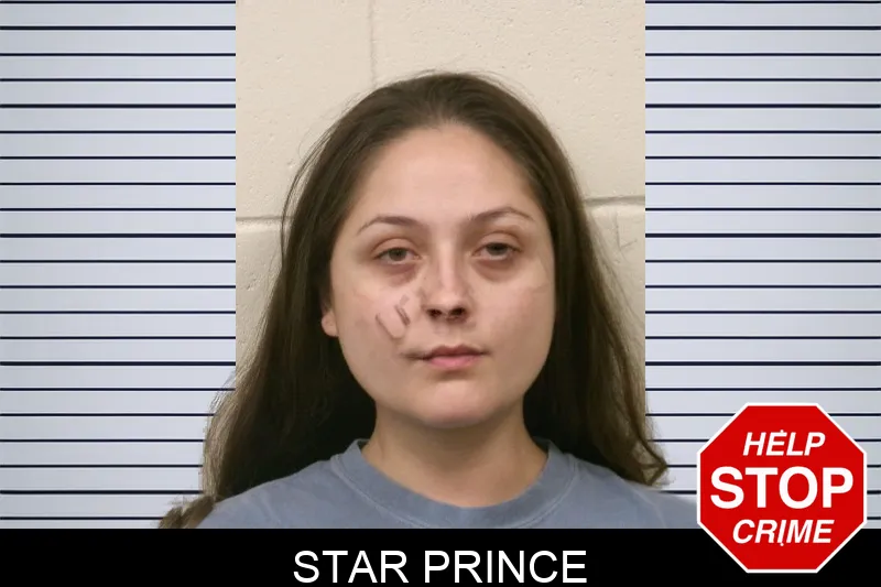 Star Prince mugshot