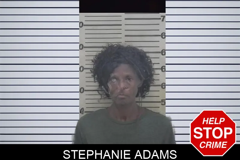 Stephanie Adams mugshot – Coffee County , Georgia Stephanie Adams mugshot