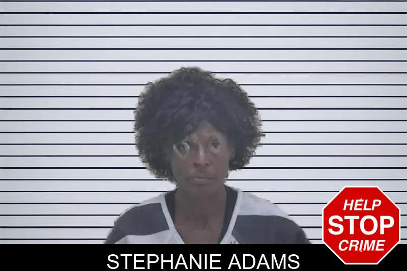 Stephanie Adams mugshot