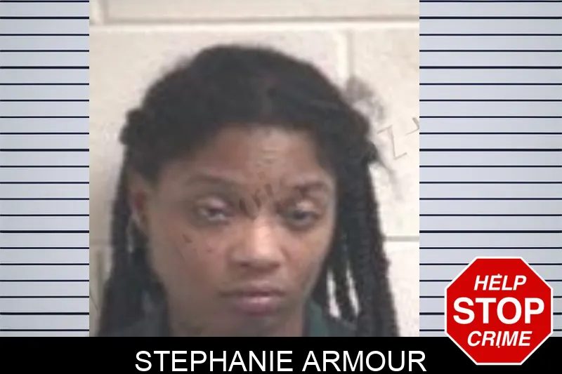 Stephanie Armour mugshot – Henry County , Georgia Stephanie Armour mugshot