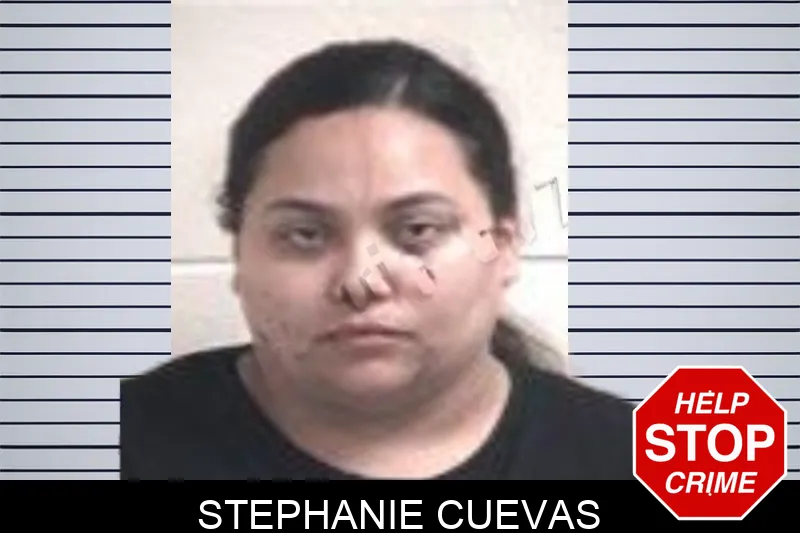 Stephanie Cuevas mugshot