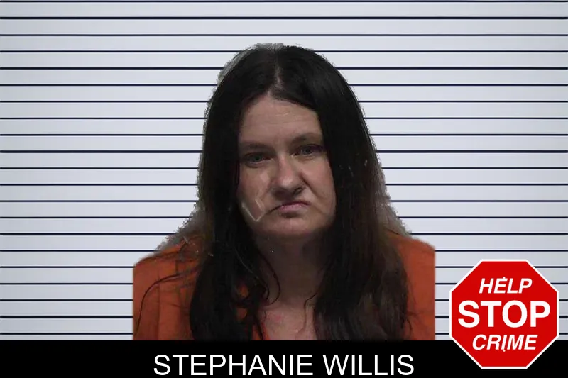 Stephanie Willis mugshot