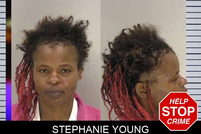 Stephanie Young mugshot